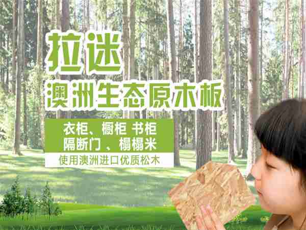 拉迷家具定制 拉迷家具定制